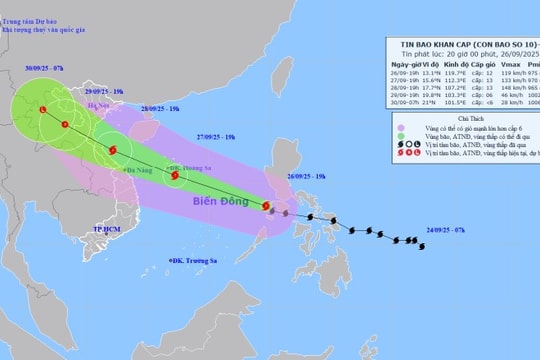 Khẩn trương ứng phó trước diễn biến phức tạp của bão số 10
