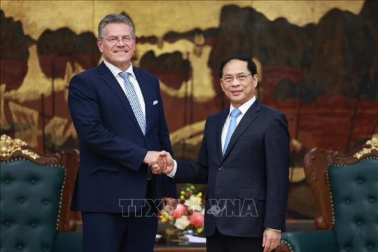 Deputy PM lauds tangible progress in Vietnam – EU cooperation