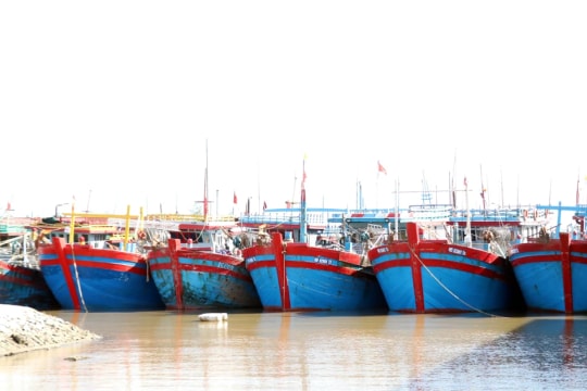 Ninh Binh strengthens IUU fishing prevention, cracks down on unregistered vessels