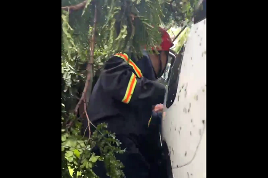 Cảnh sát kịp thời cứu nạn 6 người mắc kẹt trong ô tô bị cây đổ đè