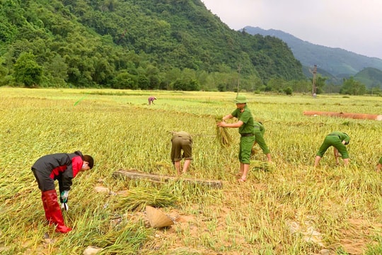Công an Thanh Hóa xuyên đêm trực chiến với bão số 10
