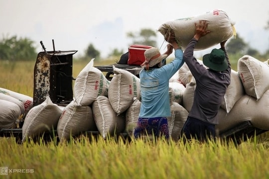 Vietnamese rice remains steadfast amid world market fluctuations