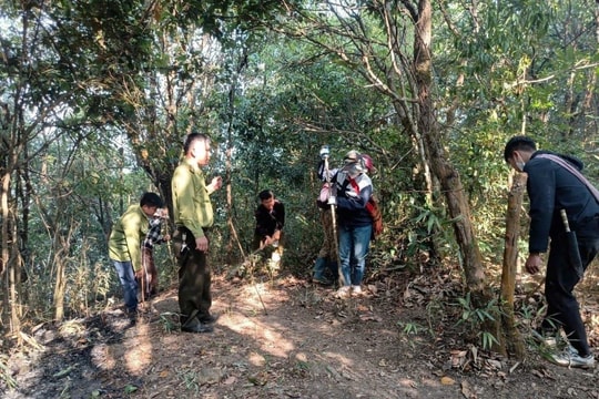 Điện Biên: Chi trả hơn 182 tỷ đồng dịch vụ môi trường rừng