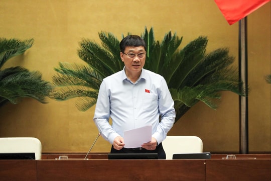 Cần thành lập cơ quan giải quyết tranh chấp thương mại điện tử