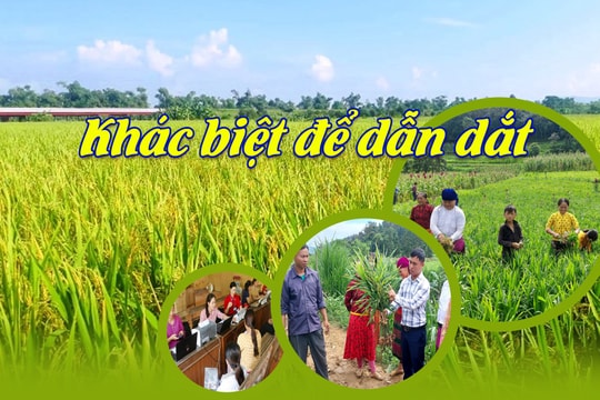 Khác biệt để dẫn dắt