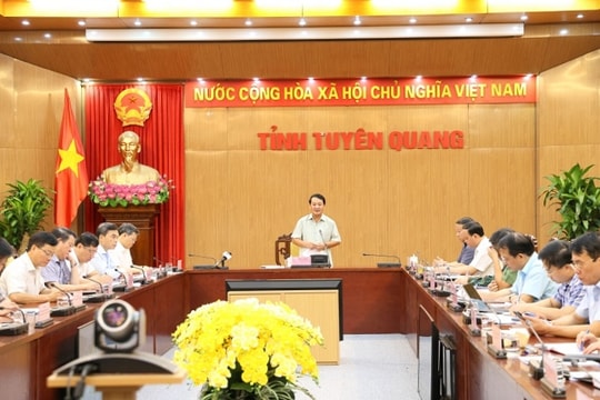 Tuyên Quang: Triển khai các biện pháp phòng, chống, khắc phục thiệt hại do hoàn lưu bão số 10