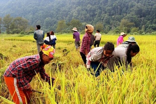 Việt Nam là quốc gia giảm nghèo nhanh nhất