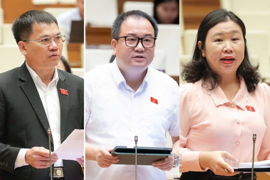 Không để lợi ích kinh tế chi phối kết luận giám định