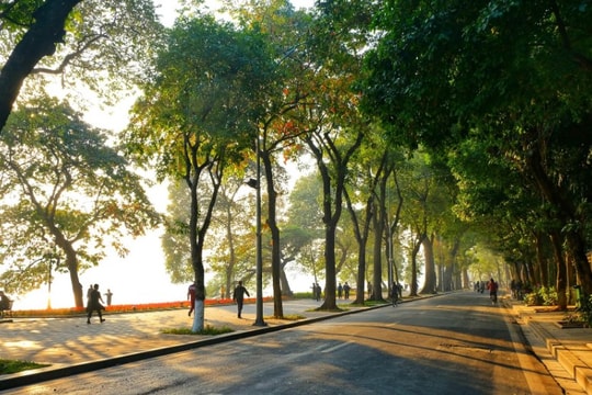 Dự báo thời tiết ngày 3/10: Bắc Bộ ngày nắng, Nam Bộ chiều tối có mưa dông