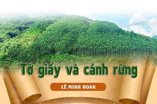 Tờ giấy và cánh rừng