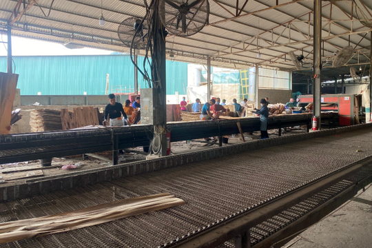 Đẩy mạnh chuyển đổi số trong doanh nghiệp