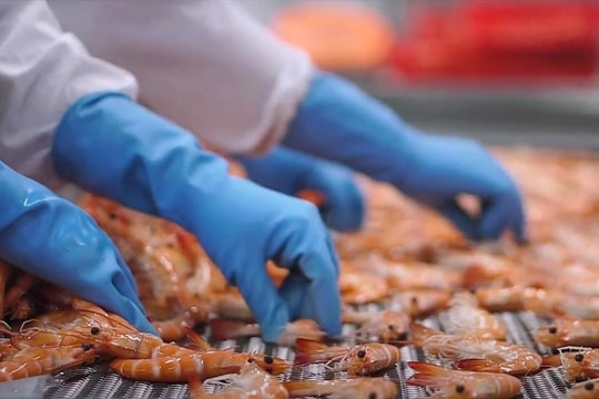 Xuất khẩu hơn 8,3 tỷ USD, thủy sản vẫn đối mặt nhiều rào cản