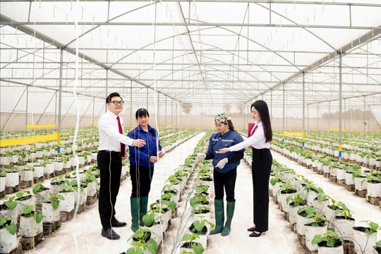 Bài 1: Cơ hội và thách thức