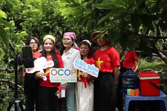 Bài cuối: Hướng đến cực tăng trưởng số của vùng