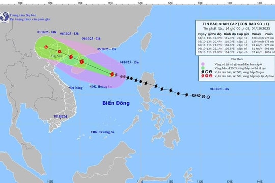 Cập nhật: Bão số 11 MATMO cách đặc khu Hoàng Sa khoảng 330km, đêm mai mưa lớn trên đất liền