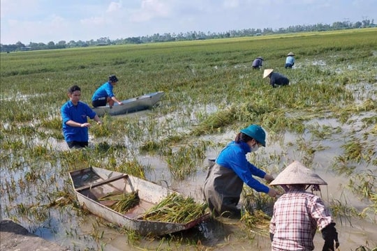 Tuổi trẻ Thượng Phúc "gieo yêu thương, gặt niềm tin" cùng bà con sau thiên tai