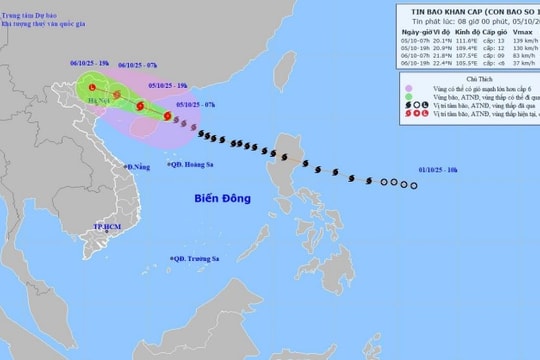 Cập nhật: Bão số 11 MATMO giật cấp 15, cách Móng Cái (Quảng Ninh) khoảng 400km