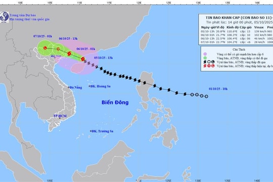 Địa phương chủ động quyết định cho học sinh nghỉ học, người lao động nghỉ làm ứng phó bão số 11 MATMO