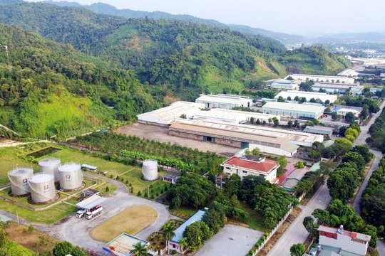 Lào Cai: Yêu cầu Công ty TNHH MTV Xăng dầu Lào Cai thực hiện nghiêm các quy định pháp luật về bảo vệ môi trường