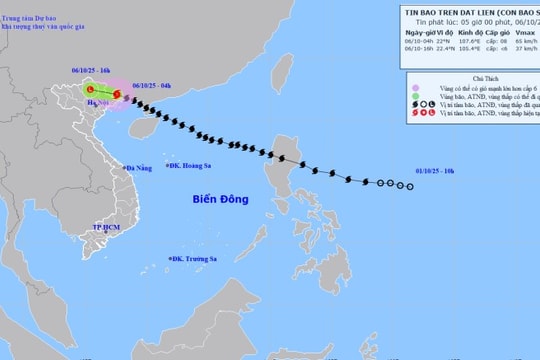 Cập nhật: Bão số 11 MATMO giảm cấp, suy yếu thành vùng áp thấp khi vào vùng núi Bắc Bộ