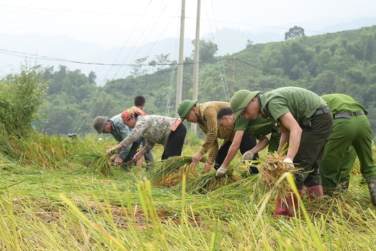 Lào Cai: Tập trung phòng chống, ứng phó với cơn Bão số 11