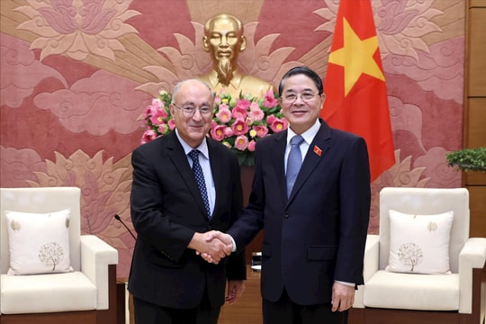 Phó Chủ tịch Quốc hội Nguyễn Đức Hải tiếp Chủ tịch Tổ chức Hỗ trợ đại học thế giới, Đức