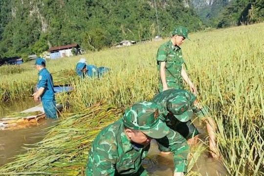 Cán bộ chiến sĩ Đồn biên phòng tỉnh Tuyên Quang và Cao Bằng tích cực giúp dân ứng phó bão số 11