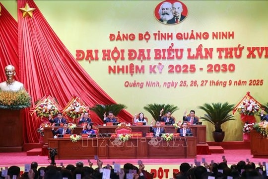 Party congresses focus on feasibility, practicality ahead of national event