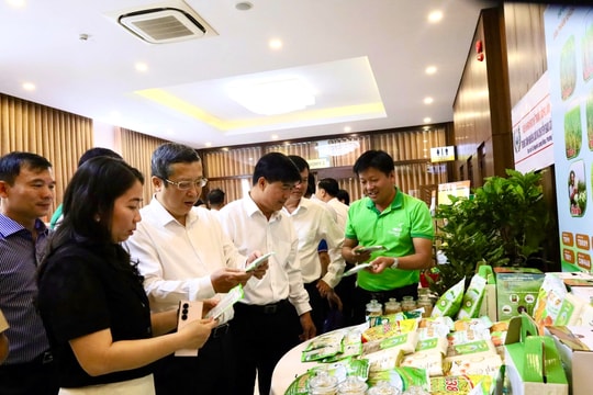 Duyên hải Nam Trung Bộ - Tây Nguyên: Xây dựng nền trồng trọt hiệu quả, thích ứng và bền vững