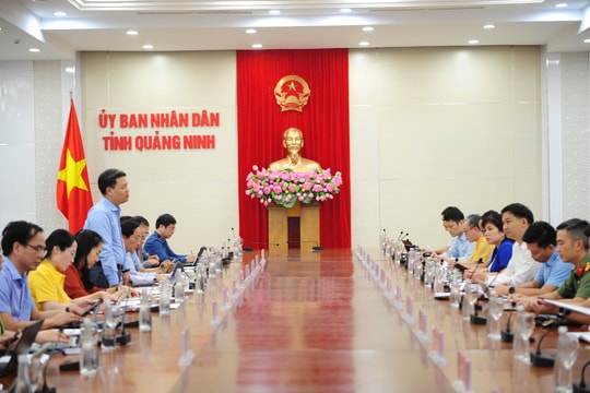 Hoàn thiện Luật Địa chất và khoáng sản từ thực tiễn quản lý ở Quảng Ninh