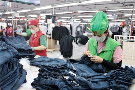 Vietnam exceeds global forecasts with 8.23% GDP growth