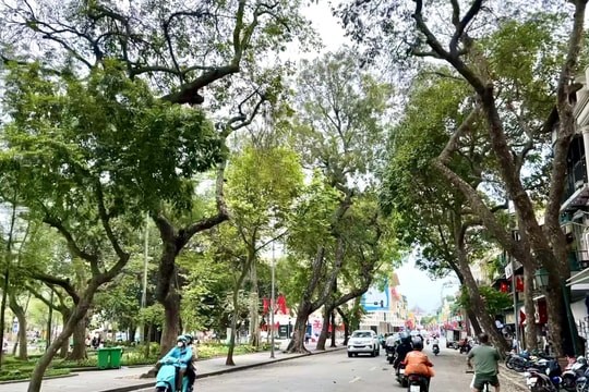 Dự báo thời tiết ngày 10/10: Bắc Bộ ngày nắng, Hà Nội cao nhất 33 độ