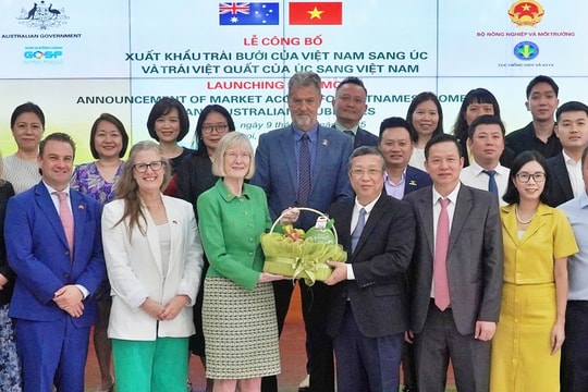 Bưởi Việt Nam vượt chuẩn kiểm dịch, chính thức vào Australia