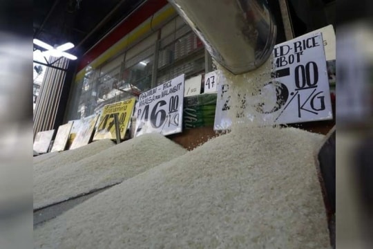 Philippines to extend rice import ban to support local farmers