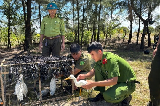 Quảng Trị: Quyết liệt "trừ khử" bẫy chim trời, bảo vệ sự sống hoang dã