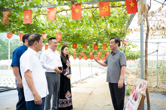 Phó Chủ tịch Quốc hội Lê Minh Hoan: Chính quyền cơ sở phải trở thành “người tổ chức phát triển” trong nông nghiệp