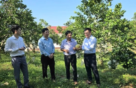 Tăng cường phân cấp, tạo chủ động cho cấp xã