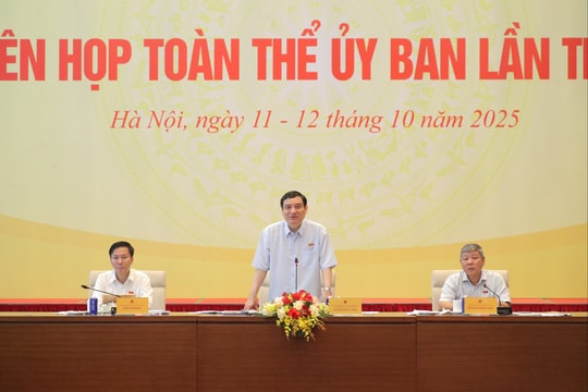 Ủy ban Văn hóa và Xã hội thẩm tra 2 dự án luật