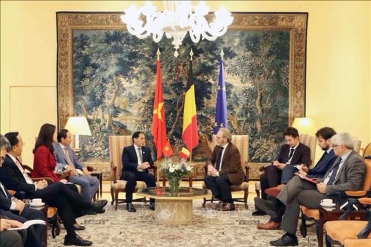 Vietnam, Belgium, EU deepen cooperation across key sectors