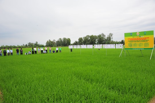 Tập đoàn Hóa chất Việt Nam: Bài cuối: Xanh hóa nông nghiệp, đồng hành với nông dân