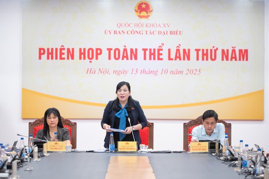 Ủy ban Công tác đại biểu họp Phiên toàn thể lần thứ 5