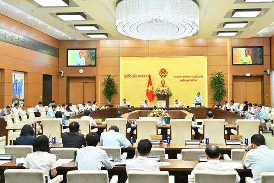 Sớm hoàn thiện quy định về vị trí việc làm, cải cách tiền lương