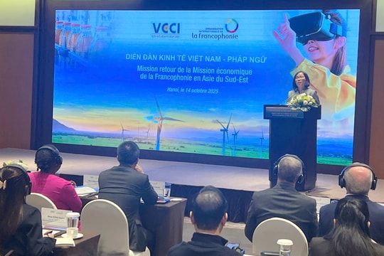Doanh nghiệp Việt Nam tăng cường kết nối với khối Pháp ngữ