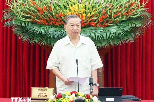 Tổng Bí thư Tô Lâm chủ trì phiên họp Thường trực Ban Chỉ đạo Trung ương về phát triển khoa học, công nghệ, đổi mới sáng tạo và chuyển đổi số