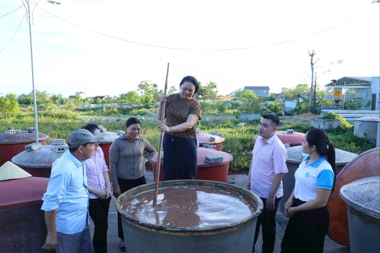 Tạo nền tảng cho kinh tế hộ phát triển