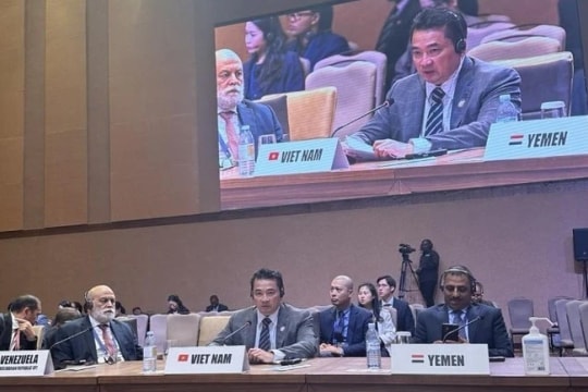 Vietnam backs Non-Aligned Movement members for common interests