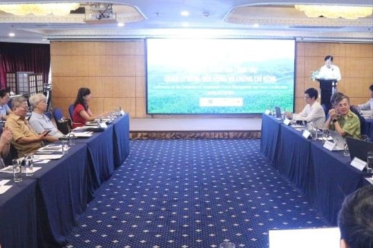 Nâng cao hiệu quả công tác quản lý rừng bền vững
