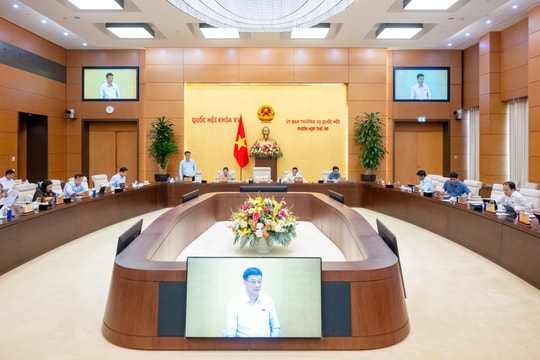 Rà soát, tinh gọn quy định về chấp thuận chủ trương đầu tư