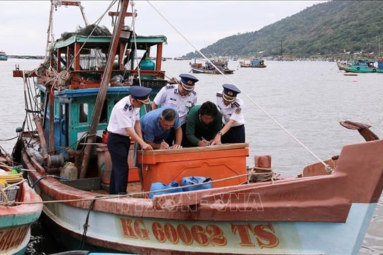 Thủ tướng Phạm Minh Chính yêu cầu tập trung thực hiện tháng cao điểm chống khai thác hải sản bất hợp pháp