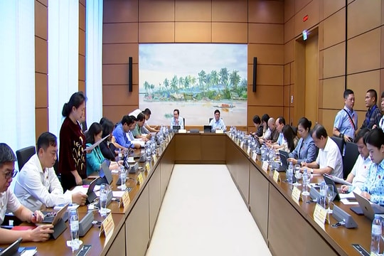 Hình trám các ĐBQH họp tổ 11 (ngày 21/10/2025)